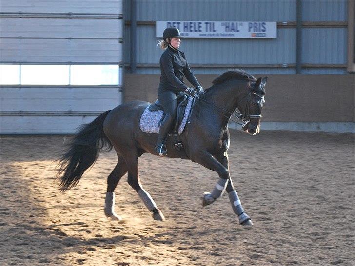 Sune Hansen Kursus - Galop billede ( Lotte M har taget billedet) billede 6