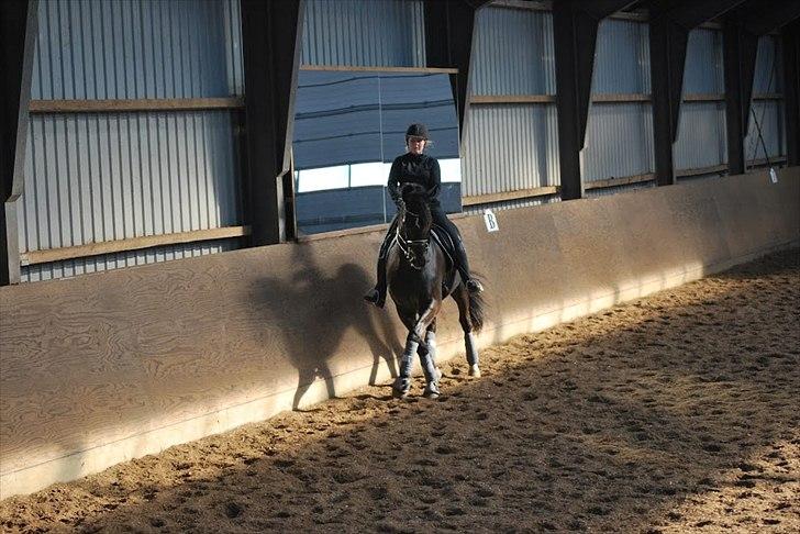 Sune Hansen Kursus billede 7