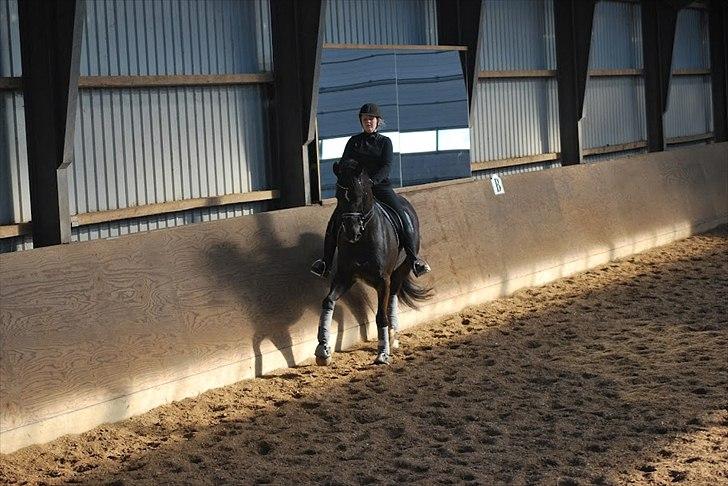 Sune Hansen Kursus billede 8