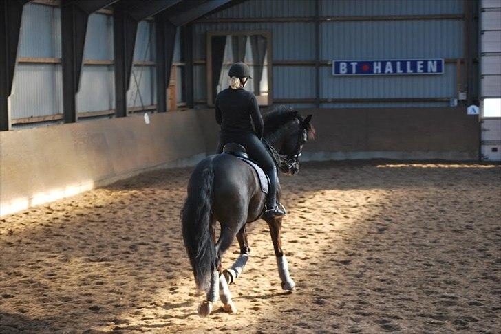 Sune Hansen Kursus billede 9