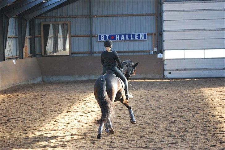 Sune Hansen Kursus billede 10