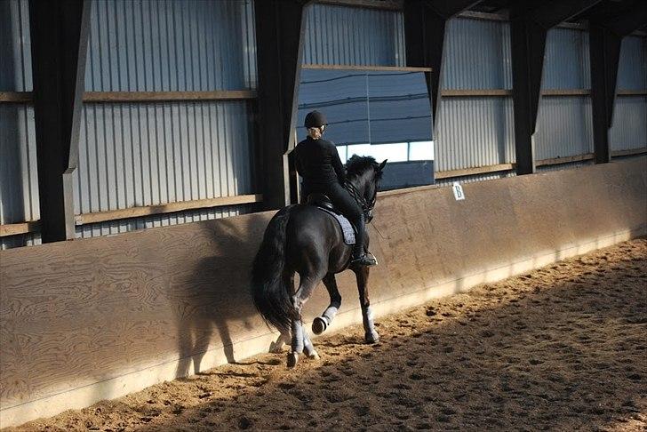 Sune Hansen Kursus billede 11