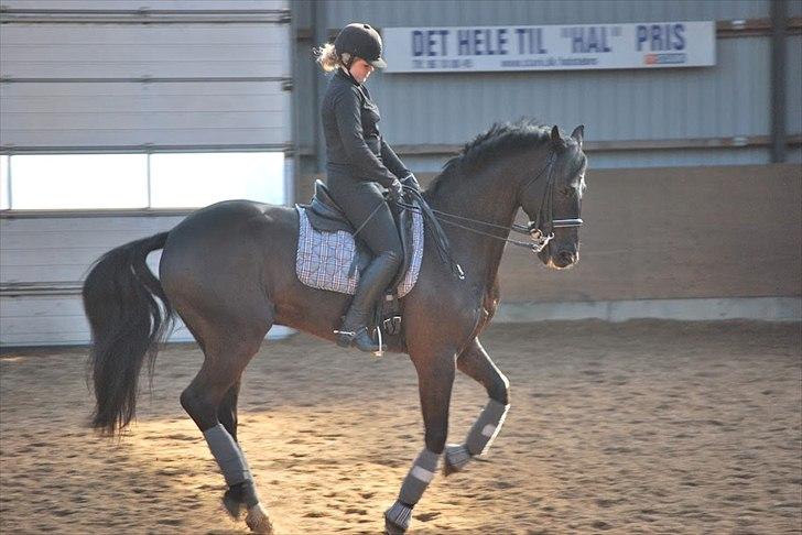 Sune Hansen Kursus - Klar til et changement ( Lotte M har taget blledet) billede 14