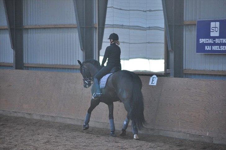 Sune Hansen Kursus billede 15