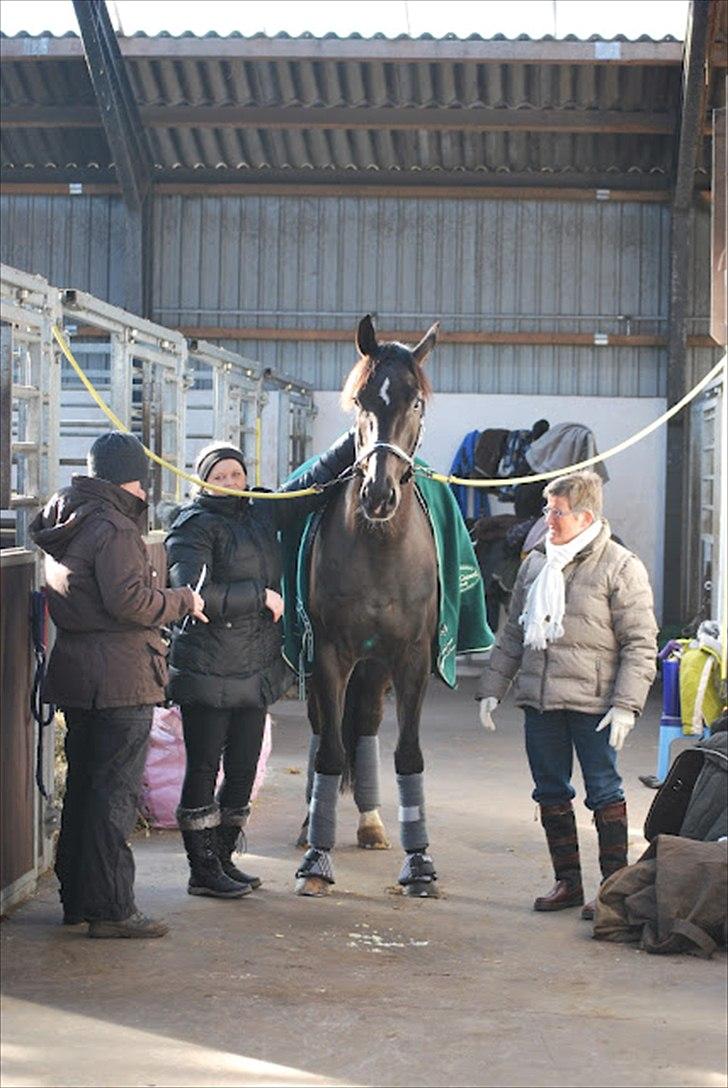 Sune Hansen Kursus - Berit fra Stald Lindballe, Mig og min underviser Birthe Lyder og så selvfølgelig Atnon ( Lotte M har taget billedet)  billede 18