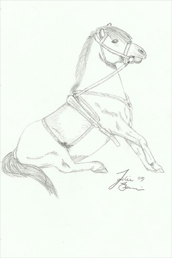Julie Adler Vistrup - Hestetegninger billede 1