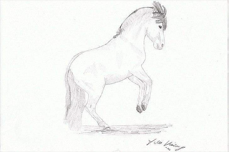 Julie Adler Vistrup - Hestetegninger billede 2