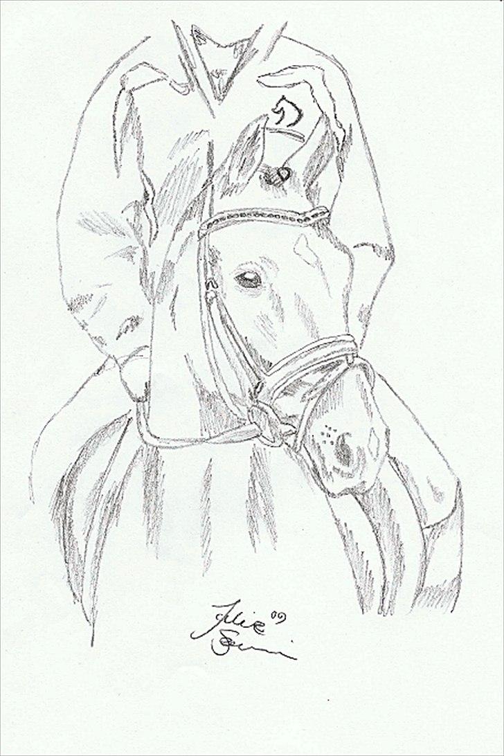 Julie Adler Vistrup - Hestetegninger billede 4