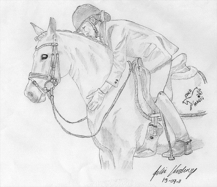 Julie Adler Vistrup - Hestetegninger billede 6
