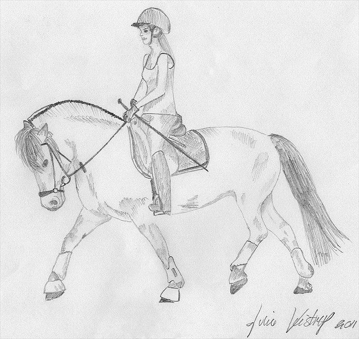 Julie Adler Vistrup - Hestetegninger billede 9