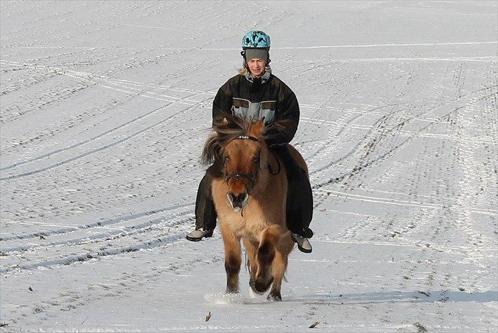 Lol/ups! - Nej, nej, nej... Mig: mors flyverdragt, Silas' strikhue + cykelhjelm med krokodiller - som end da er for lille! Tulle: griner '-' :D billede 1