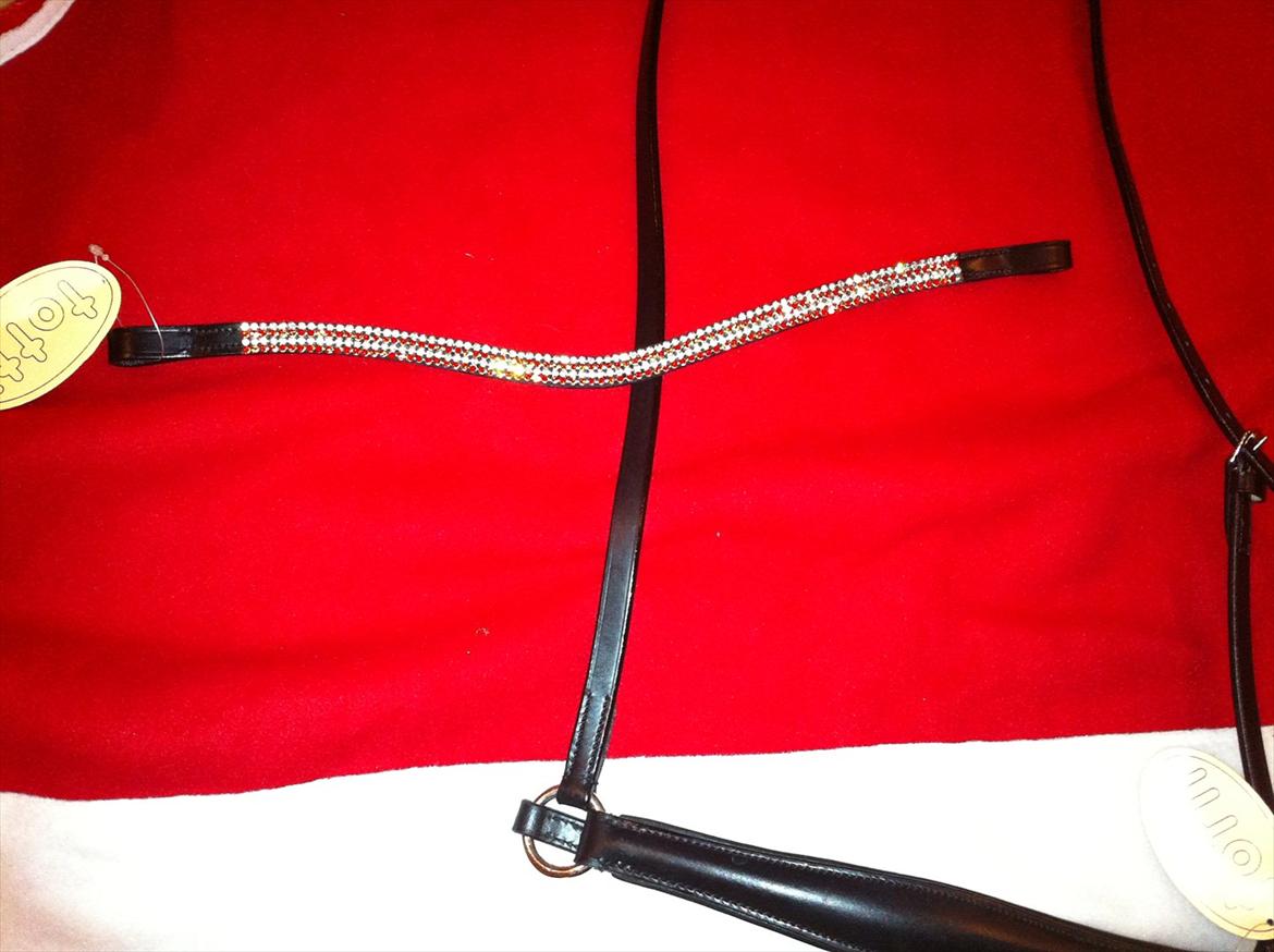 Lidt af udstyret ;P - pandebånd og næsebånd billede 2