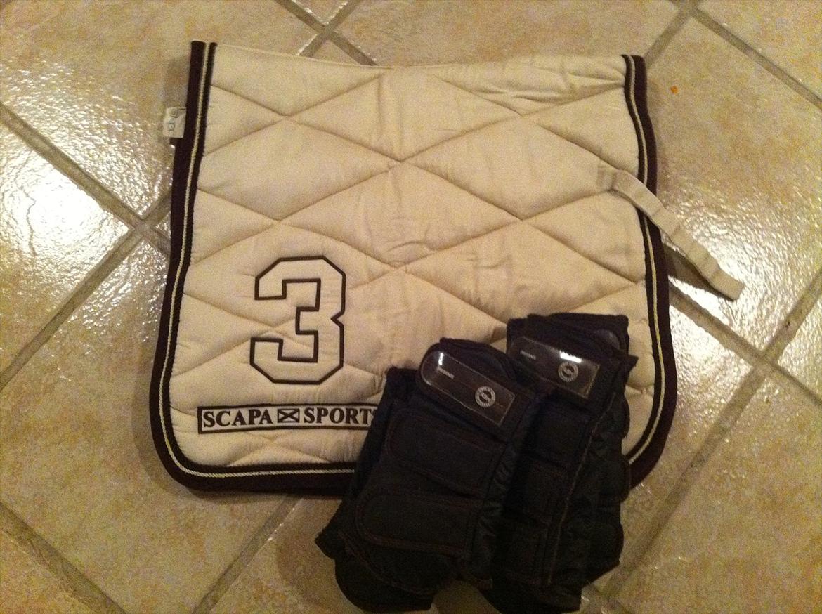 Lidt af udstyret ;P - Cremefarvede Scapa sport underlag og brune RBH dressur gemacher billede 4