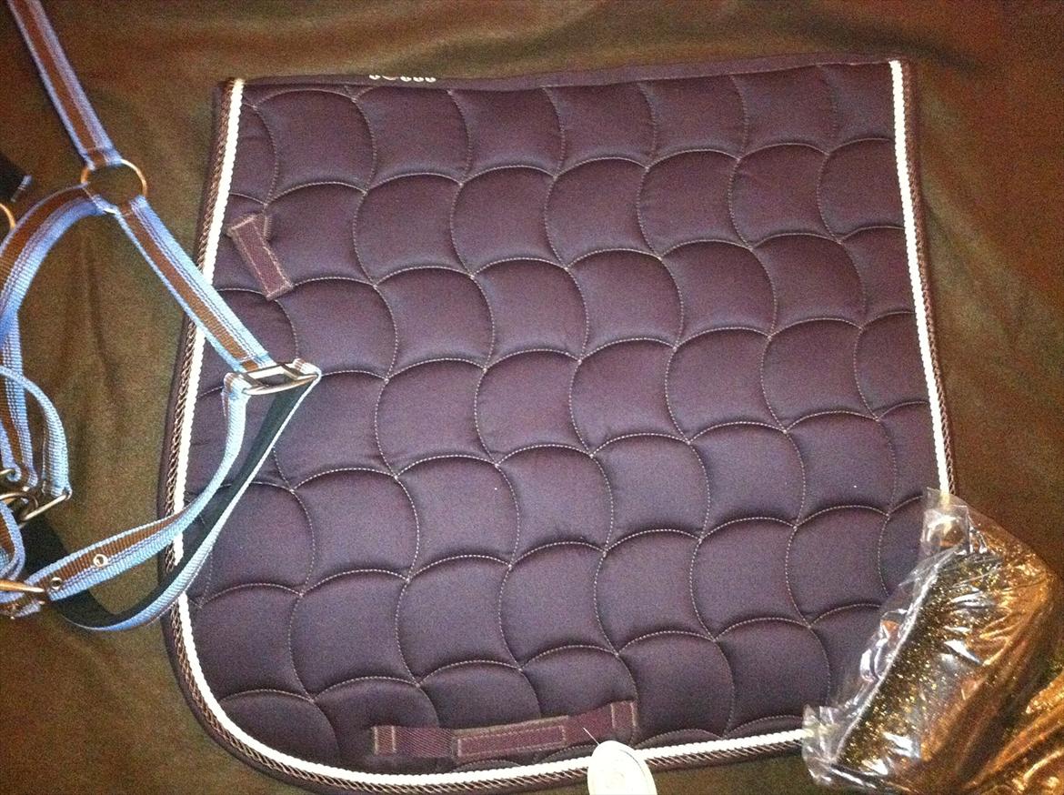 Lidt af udstyret ;P - Underlag fra Ridersport, kønb i herning 2012 billede 5