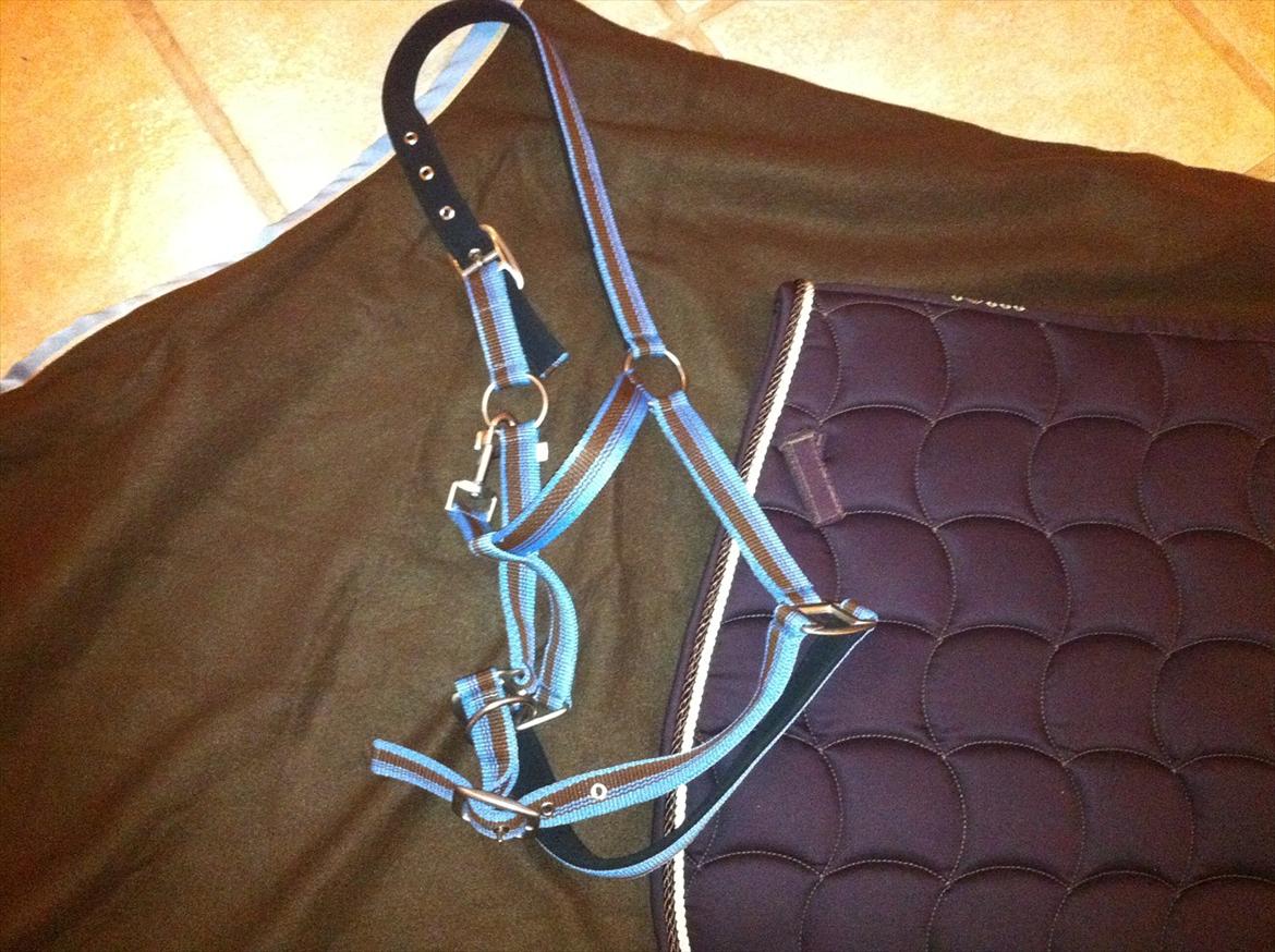 Lidt af udstyret ;P - lysblå/brun grime i full. Købt i herning 2012 60 kr billede 7