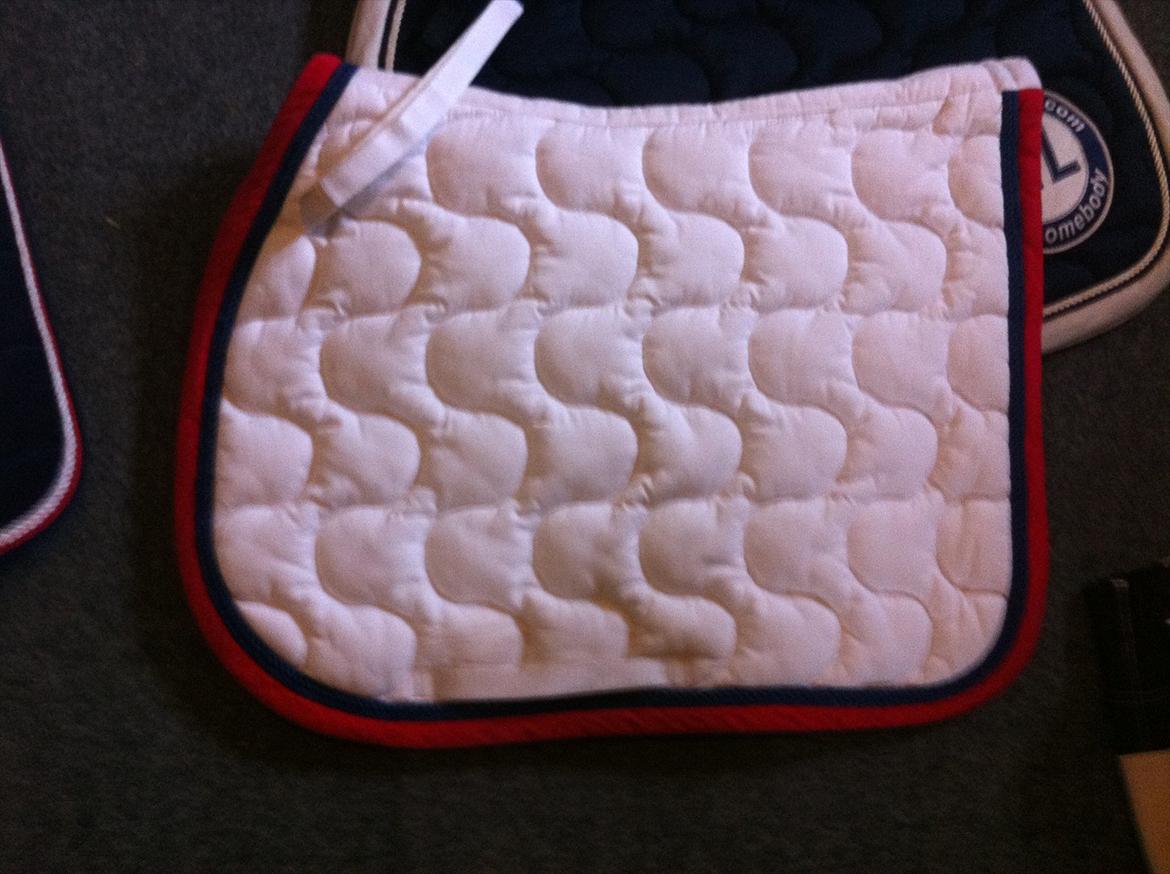 Lidt af udstyret ;P - HL underlag :) matcher min animo og dannebrogstæppet billede 35