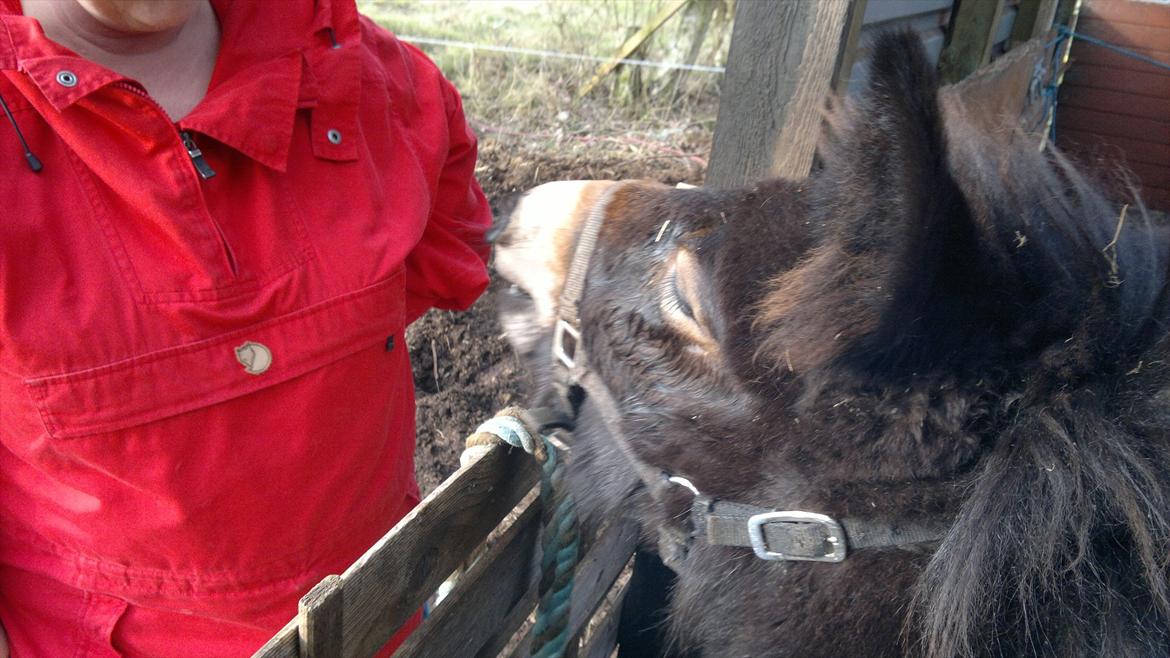 Mulle Muldyr billede 8