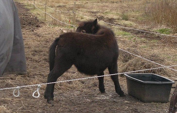 Mulle Muldyr billede 16