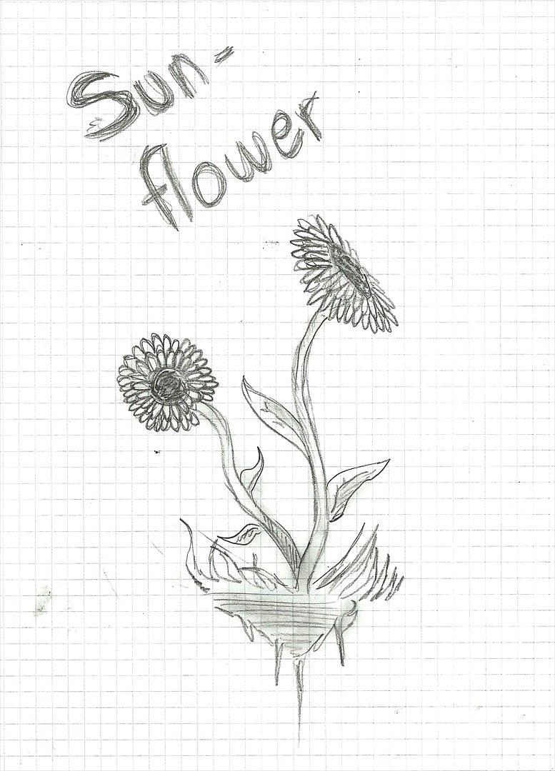 Tegninger :D   - Kedsomhed længe leve xD! 
Tegnet tirsdag d. 20. marts 2012 billede 31