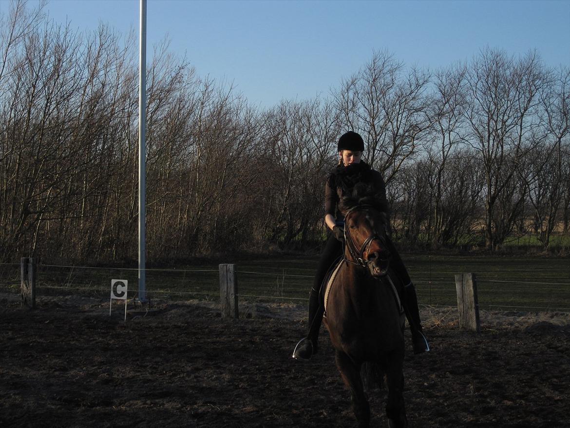 Vores billedebog. - Hahaha xD Se lige vores udtryk! xD Totalt underlige er vi begge, måske er det derfor vi passer så godt sammen? xD 
Dette billede er taget i går d. 22/3-2012 under vores træning :-)) Kaliber er her ved at ryste på hovedet, mens vi traver en volte, og jeg har ingen anelse om, hvad jeg har gang i, men jeg har i hvert fald et underligt udtryk i hovedet xD 
Kaliber laver også en grimasse på dette billede, hvilket bare gør det endnu mere underligt! xD Sød hest! :-I Jeg elsker den hest, selvom den er underlig :-* Meeen.. han skal jo også passe til mig :-D Vi er mærkelige sammen :-D
Kaliber har virkelig forbedret sig meget under ridningen! :-D Han kan nu gå afslappet rundt på volterne, på begge sider! :-D Hvilket han ikke kunne for 10 mdr. siden, hvor jeg begyndte omskolingen :-)) Der er sket så meget på de 10 mdr. jeg har haft ham, og selvom vi har haft nogle dårlige tidspunkter, så er vi kommet igennem det sammen :'-))<3 Men det er ikke kun Kaliber der har forbedret sig, jeg har også forbedret mig, meget :-D<3 Jeg er blevet bedre til, at styre mit temperament, og det har gjort en del, for jeg kan have et stort temperament, men vi klarer det, så længe vi er sammen :-)) billede 32