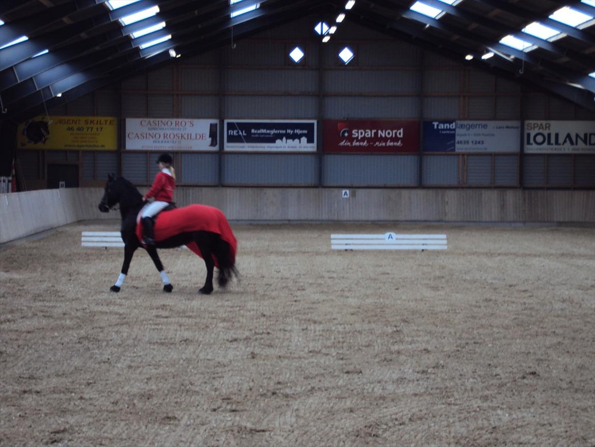 HIRK (himmelevrideclub) stævne.. billede 1