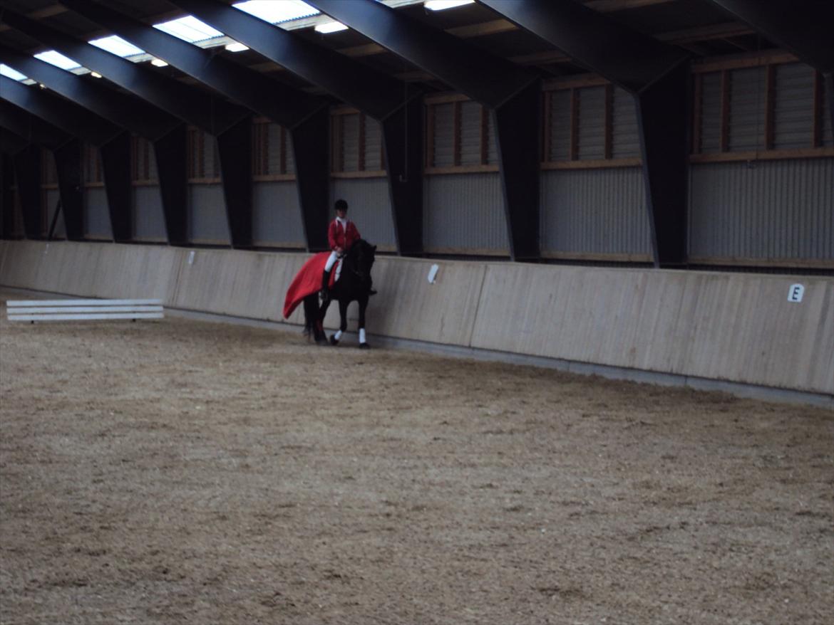 HIRK (himmelevrideclub) stævne.. billede 2