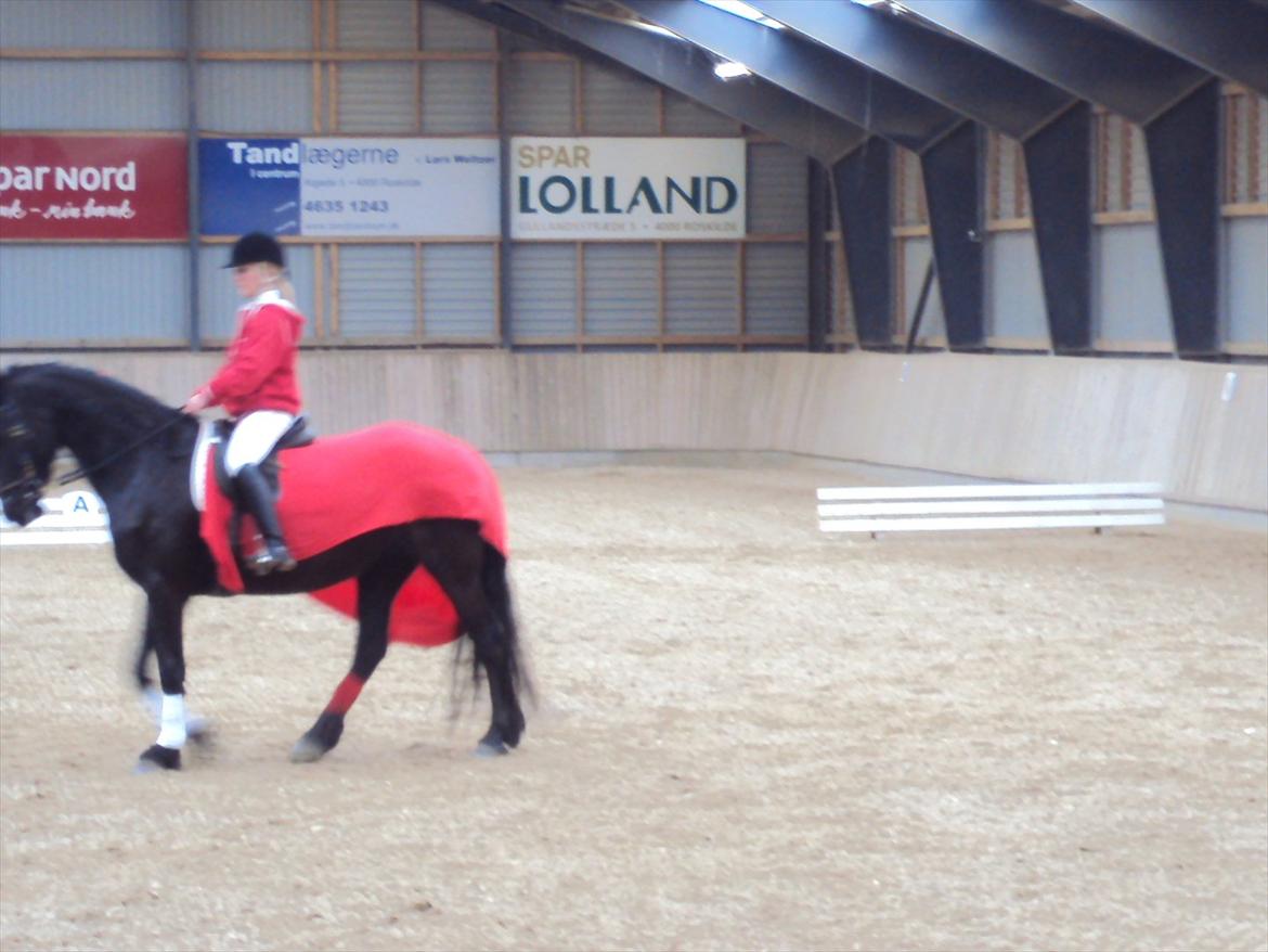 HIRK (himmelevrideclub) stævne.. billede 3