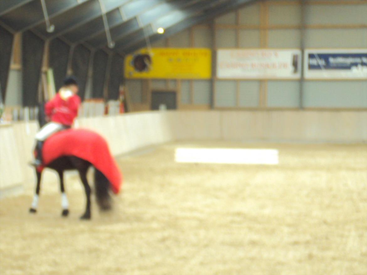 HIRK (himmelevrideclub) stævne.. billede 4