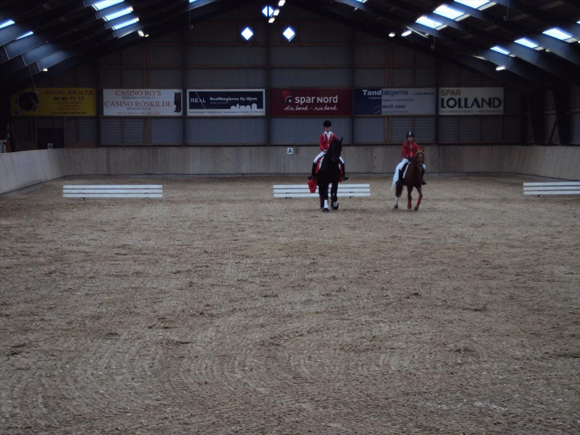 HIRK (himmelevrideclub) stævne.. billede 5