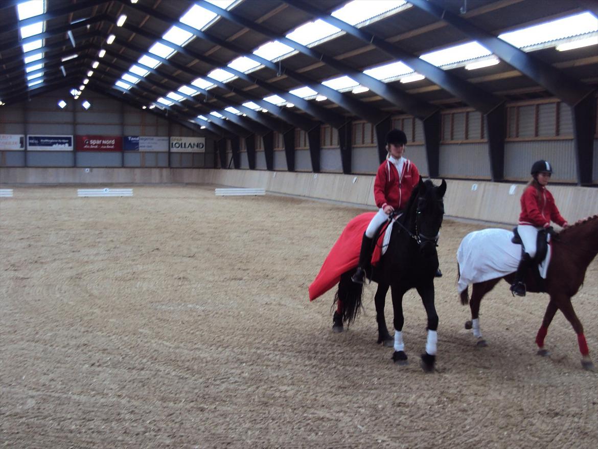 HIRK (himmelevrideclub) stævne.. billede 7