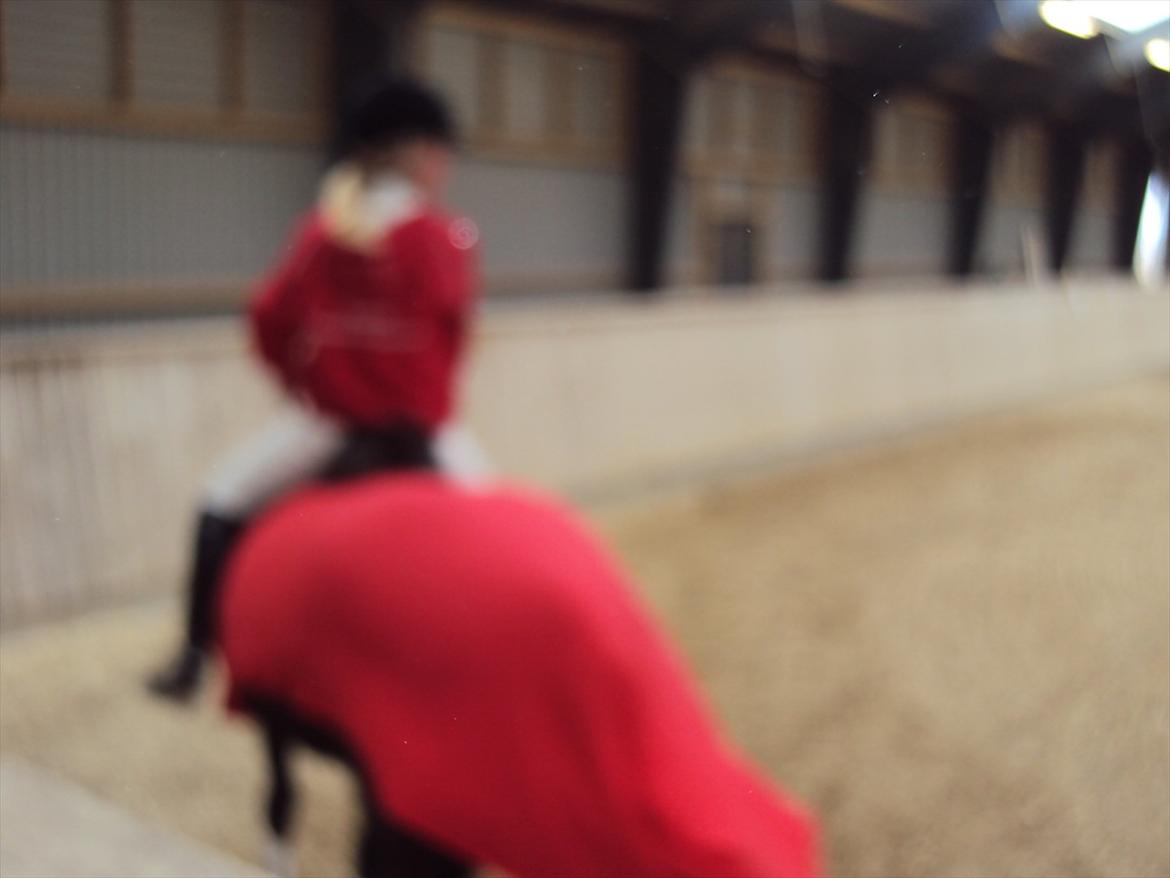 HIRK (himmelevrideclub) stævne.. billede 8