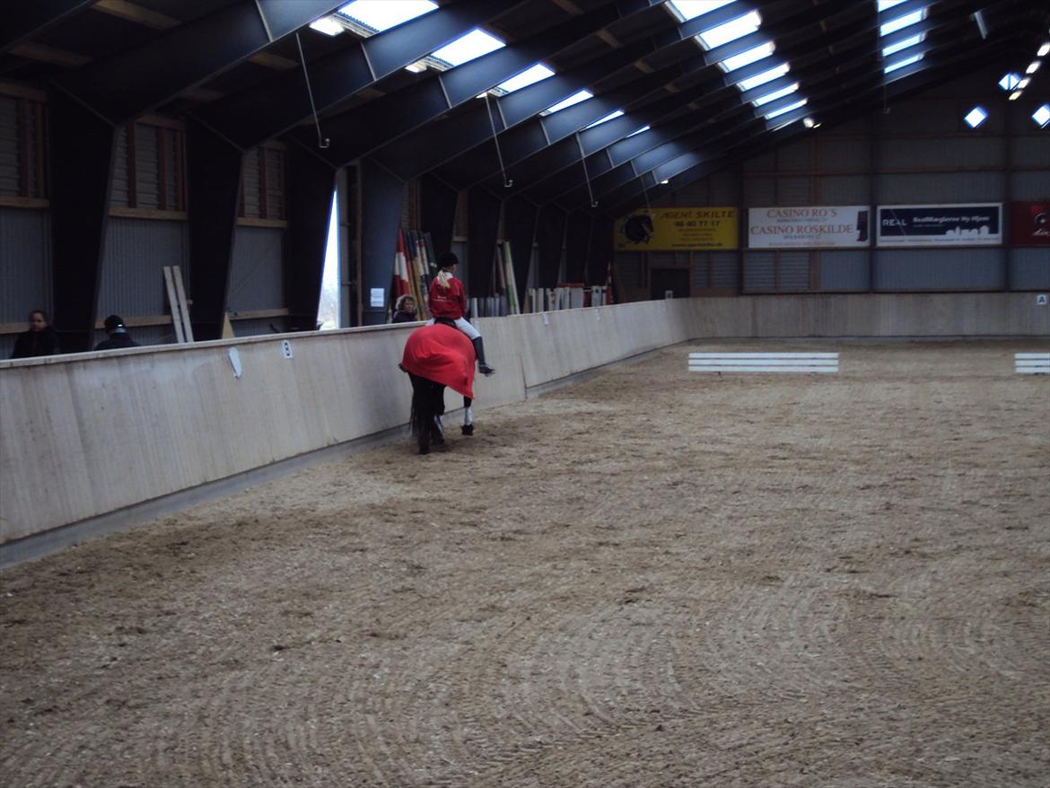 HIRK (himmelevrideclub) stævne.. billede 9