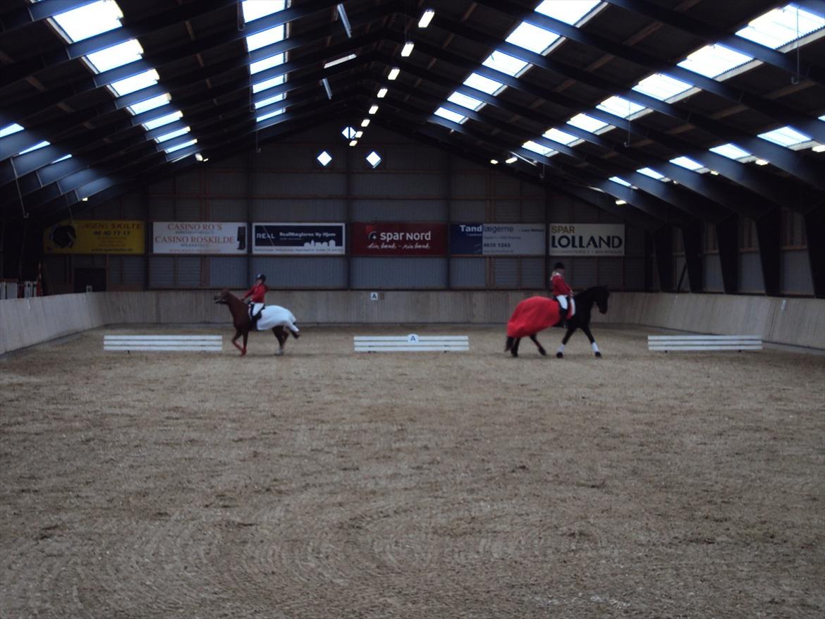 HIRK (himmelevrideclub) stævne.. billede 10