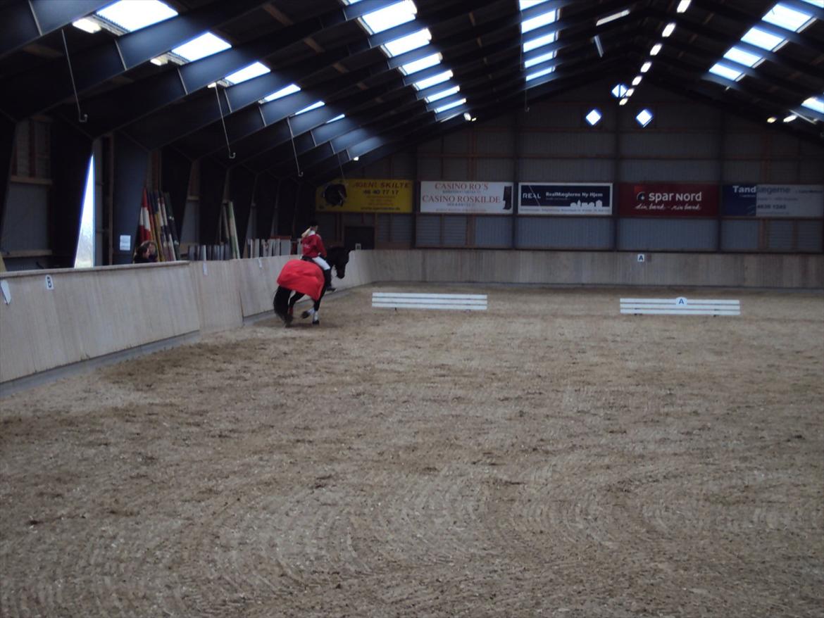 HIRK (himmelevrideclub) stævne.. billede 12