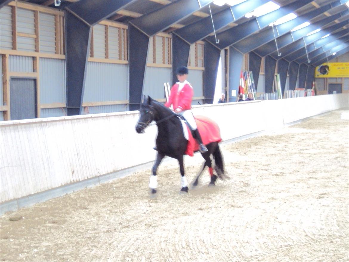 HIRK (himmelevrideclub) stævne.. billede 13