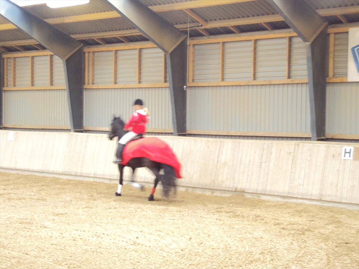 HIRK (himmelevrideclub) stævne.. billede 14