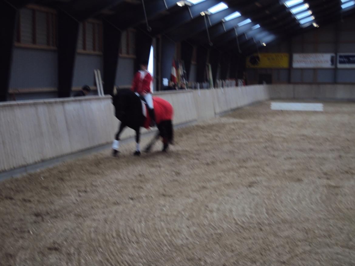 HIRK (himmelevrideclub) stævne.. billede 15