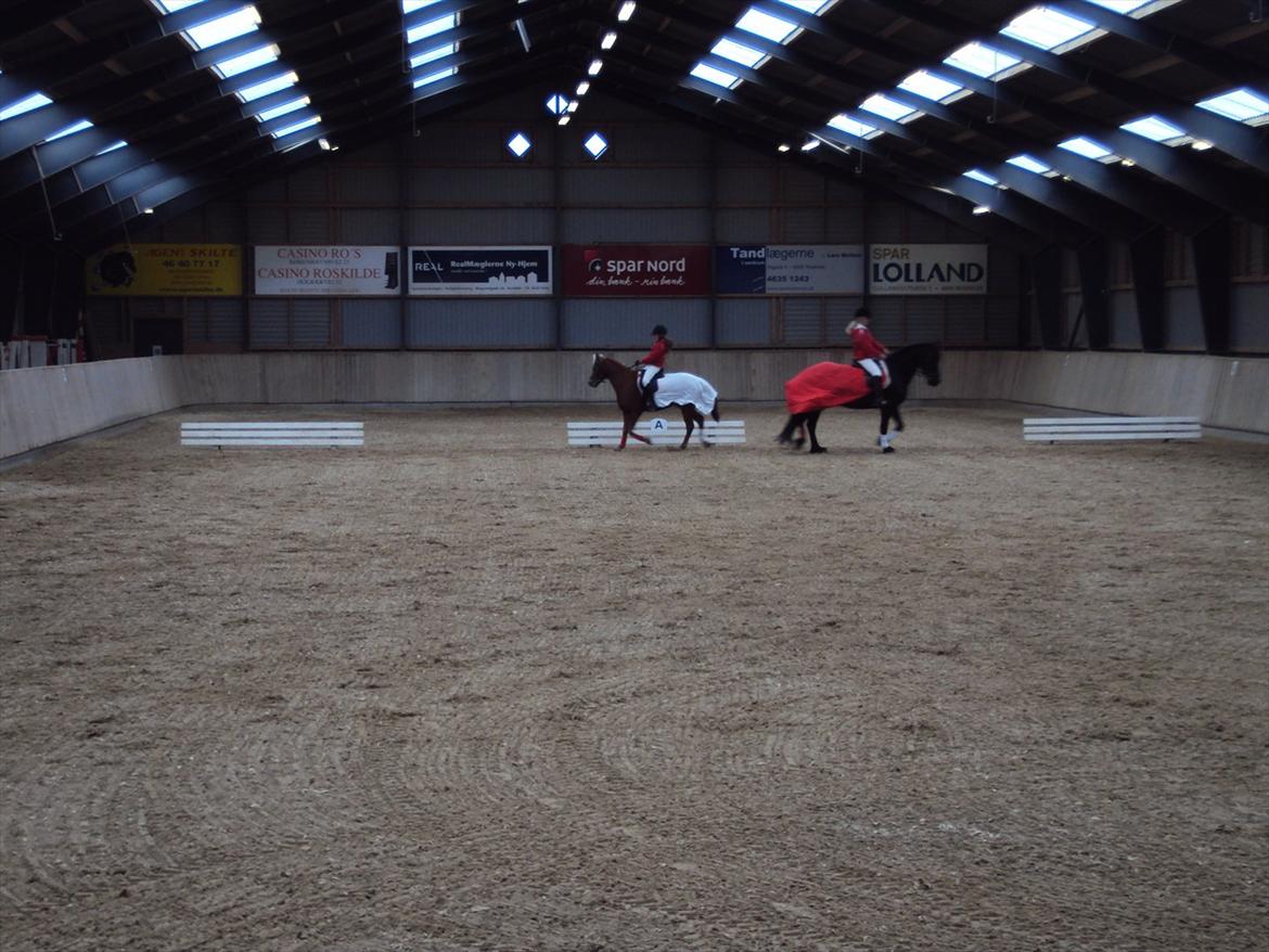 HIRK (himmelevrideclub) stævne.. billede 16