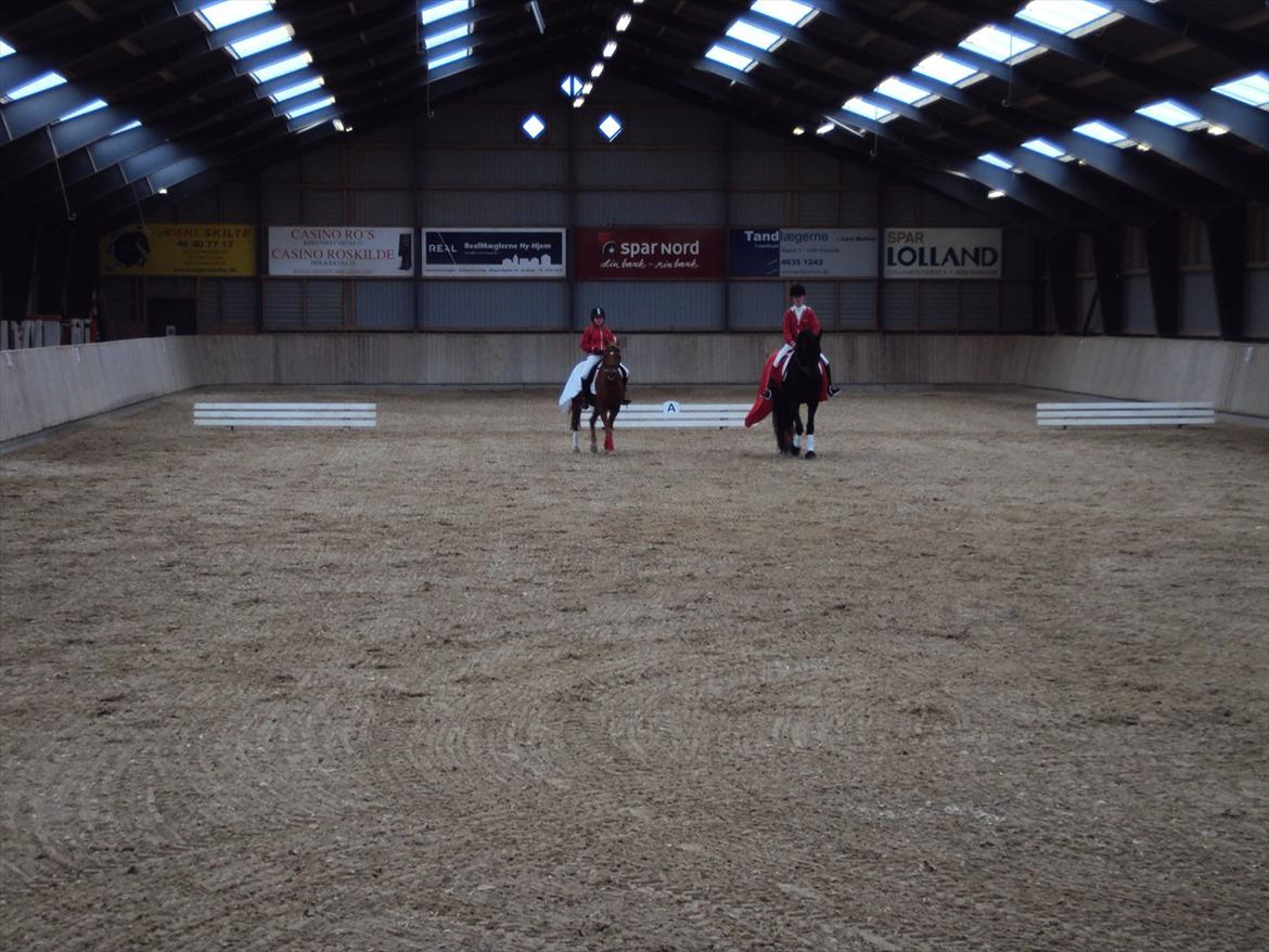 HIRK (himmelevrideclub) stævne.. billede 17