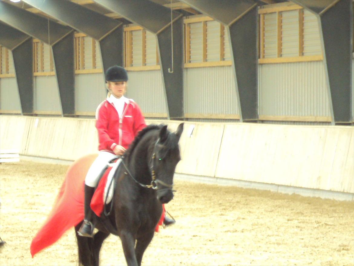 HIRK (himmelevrideclub) stævne.. billede 19