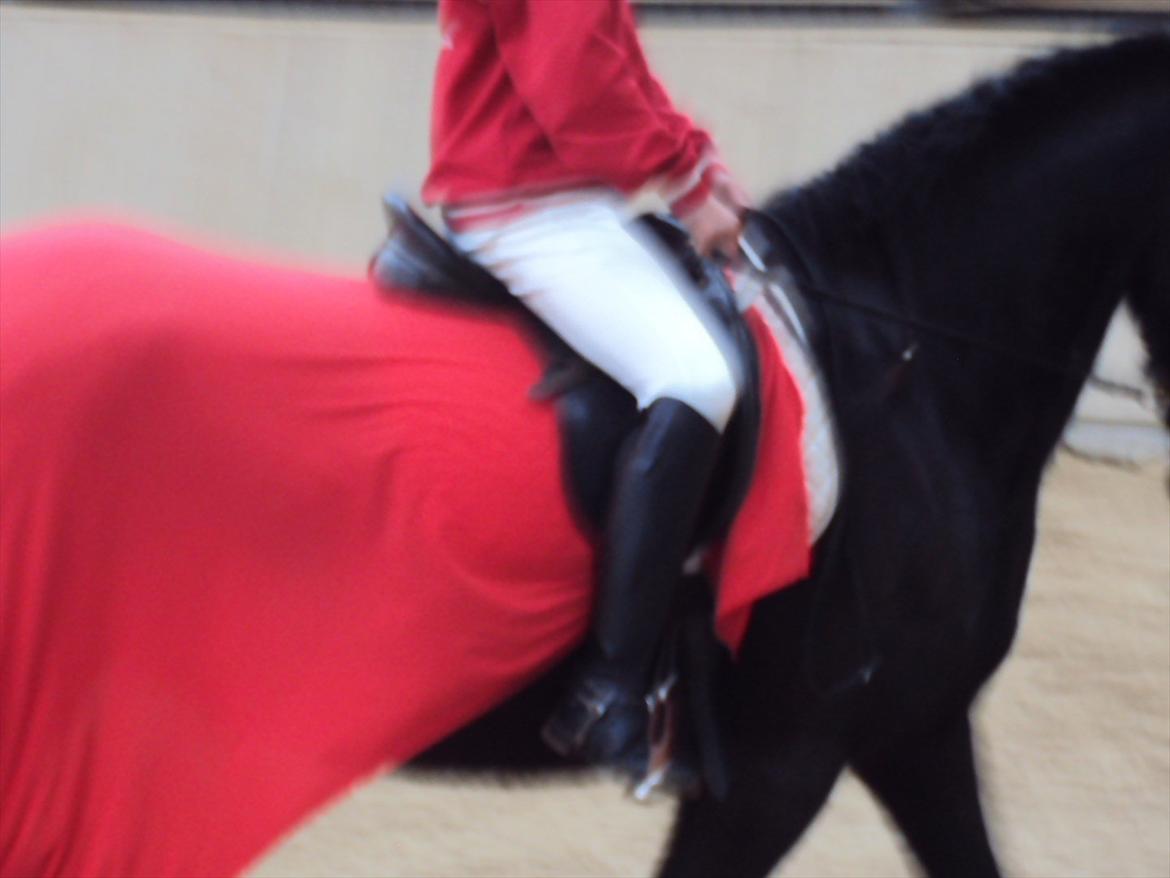 HIRK (himmelevrideclub) stævne.. billede 20