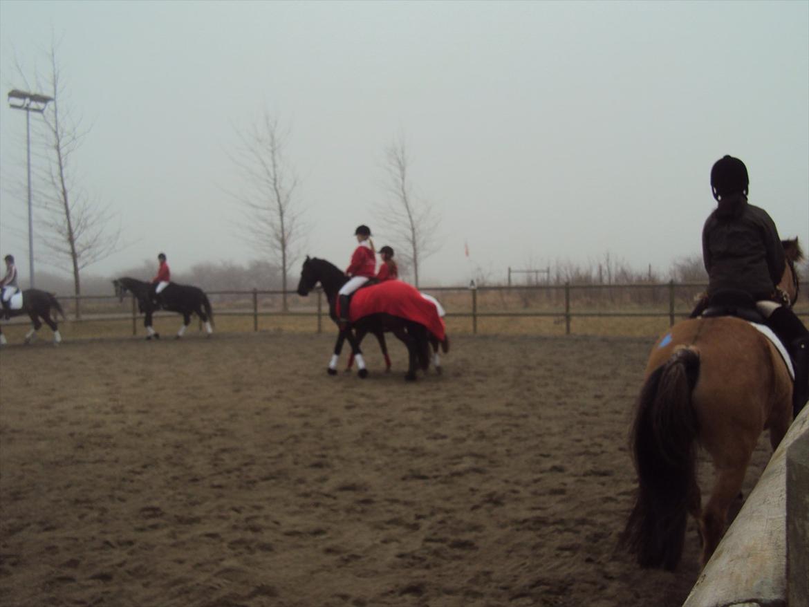 HIRK (himmelevrideclub) stævne.. billede 21