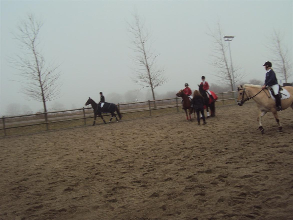 HIRK (himmelevrideclub) stævne.. billede 23