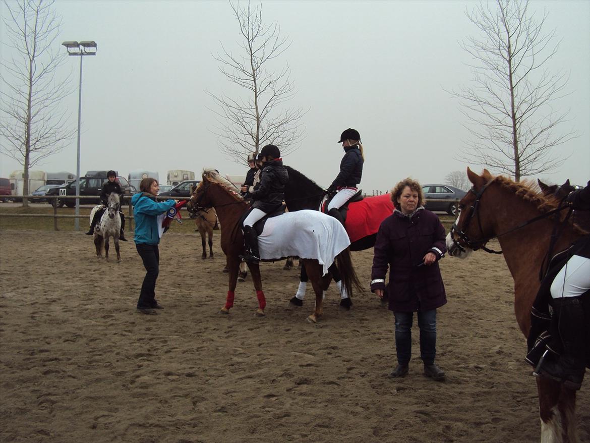 HIRK (himmelevrideclub) stævne.. billede 24