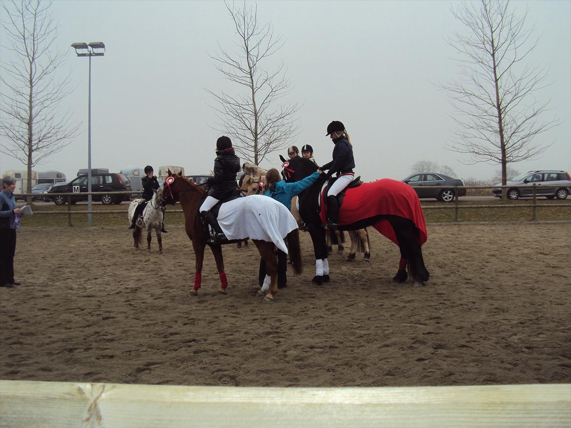 HIRK (himmelevrideclub) stævne.. billede 25