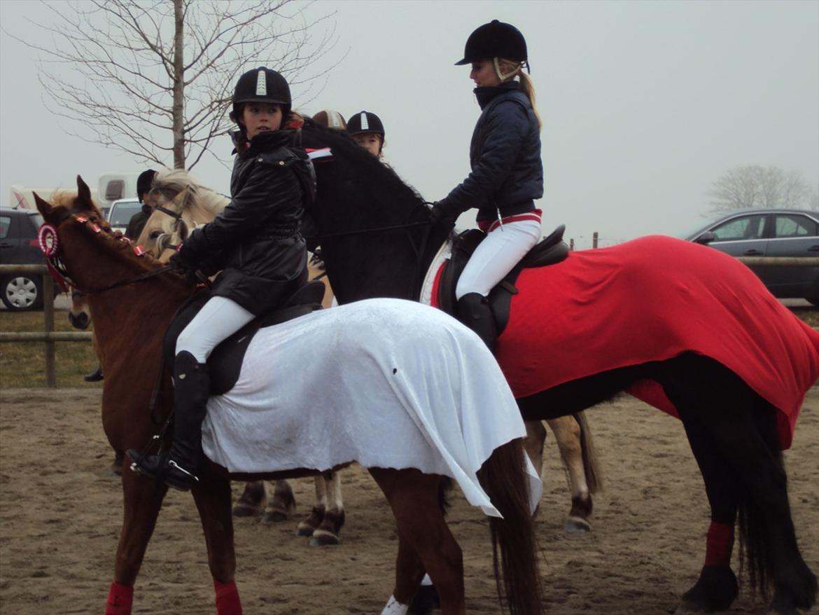 HIRK (himmelevrideclub) stævne.. billede 26