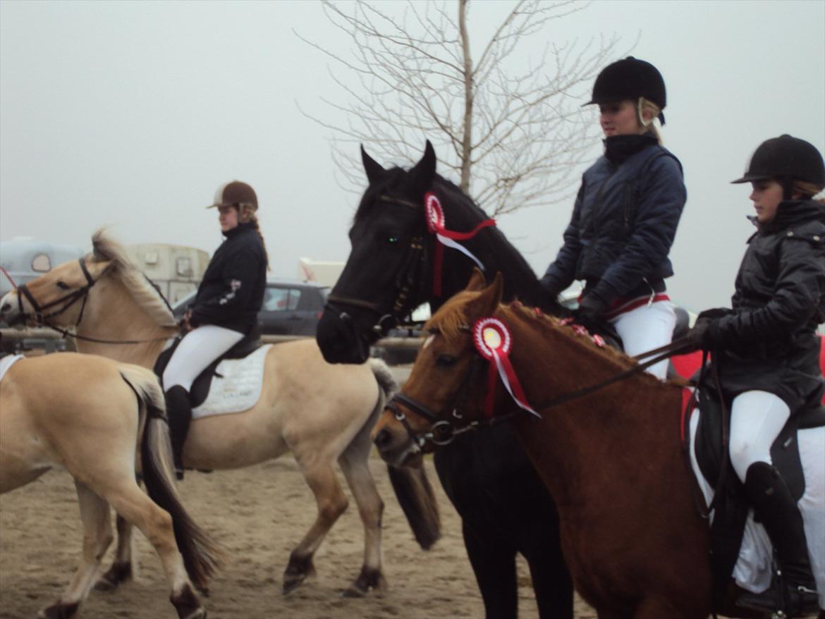 HIRK (himmelevrideclub) stævne.. billede 27