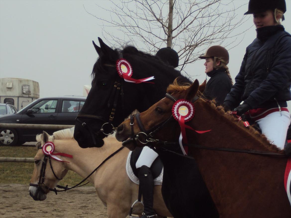 HIRK (himmelevrideclub) stævne.. billede 28