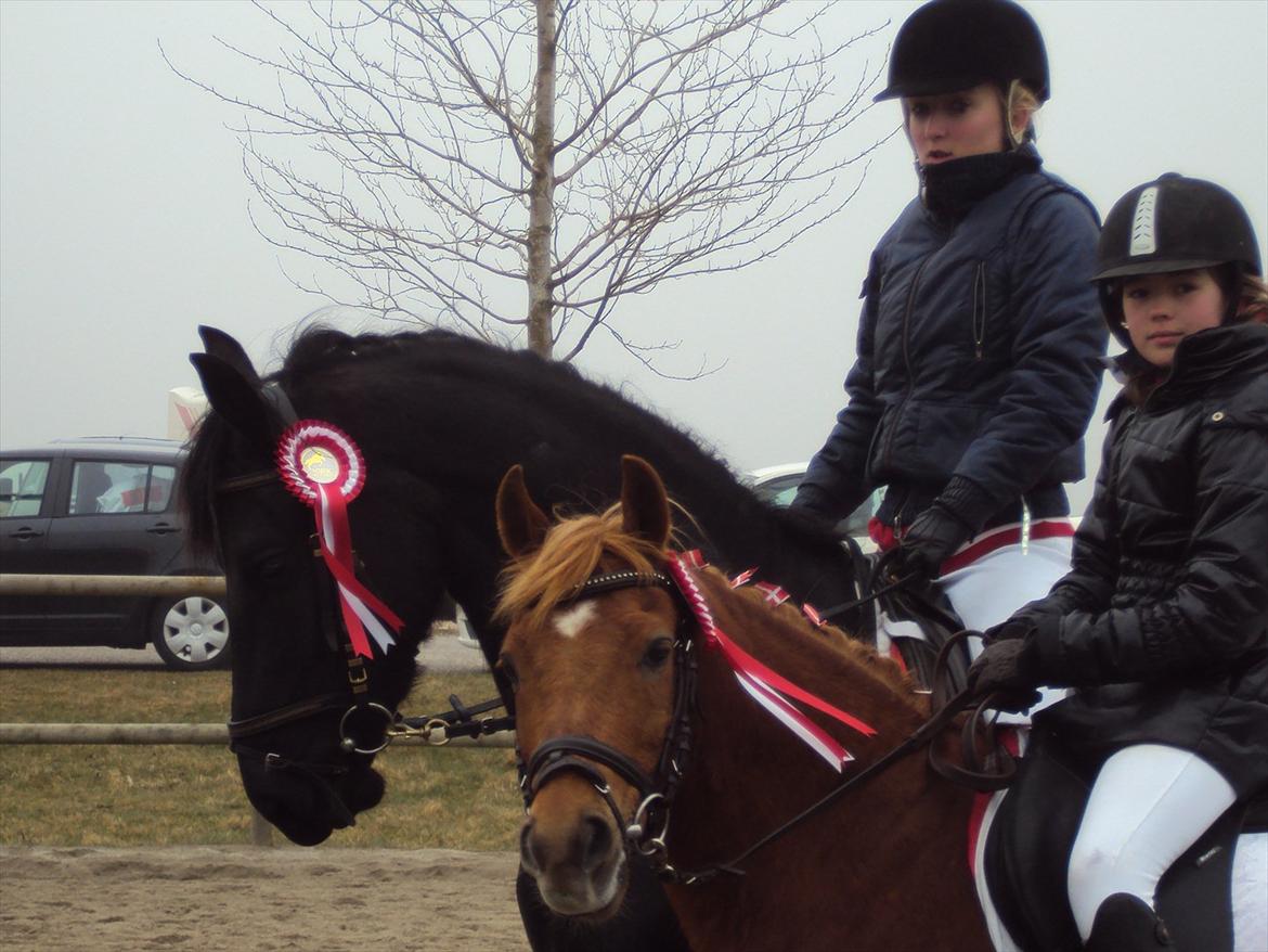 HIRK (himmelevrideclub) stævne.. billede 29