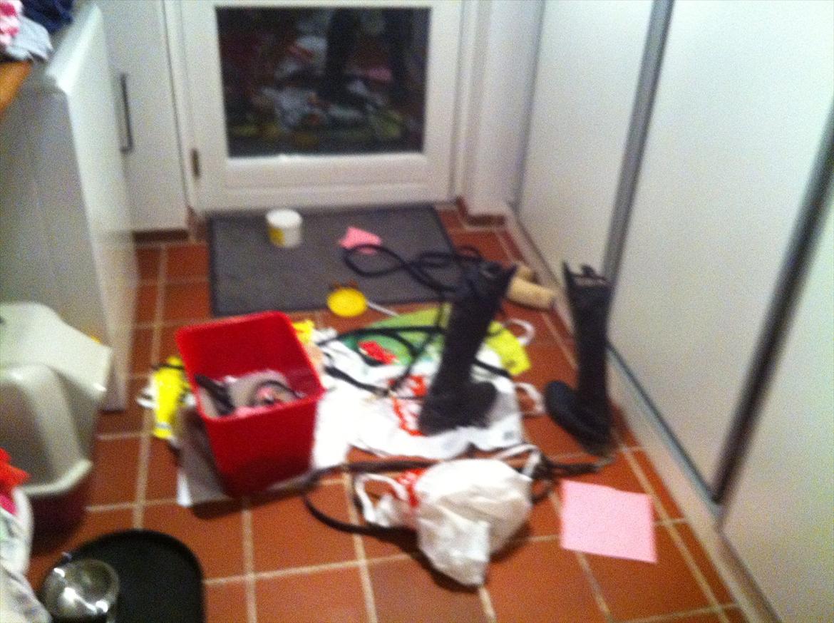 HIRK (himmelevrideclub) stævne.. billede 31